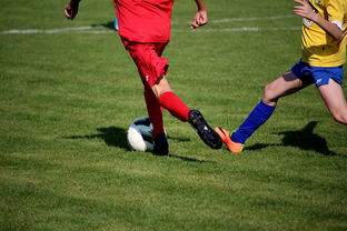 开云权威入口-国际足球俱乐部青训论坛在广州召开，国际足联青训补偿标准